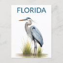 Search for blue heron postcards Birds