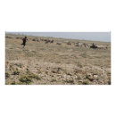 Search for wildlife posters Photography