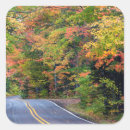 Search for chuck gift wrap Fall
