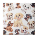 Recherche de chien de berger carreaux Mignon