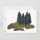 Search for bridge invitations Outdoors