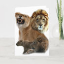 Search for lion pride cards Wild