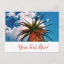 Recherche de plante verte cartes postales Pour tous