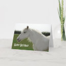 Search for blank birthday cards Photography