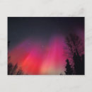 Recherche de rideau rouge cartes postales Rose