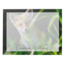 Recherche de renard blocsnotes Forêt