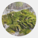 Search for headstone stickers Tombstone