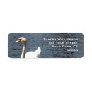 Search for swans labels Outdoors