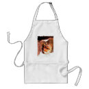 Search for rivers aprons Rocks