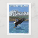 Search for whidbey postcards Original