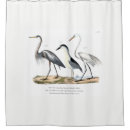 Search for heron shower curtains Bird