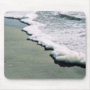 Recherche de mares tapis souris Photographie