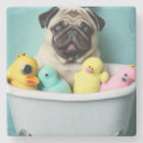 Search for bathing barware Pet