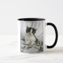 Search for feathers mugs Cat