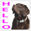 Search for black labrador retriever stickers Puppies