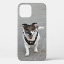 Recherche de chien heureux iphone coques Dog