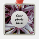 Search for lily ornaments Floral