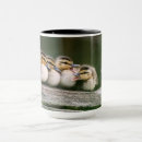 Search for baby duck mugs Duckling
