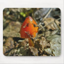 Search for cones mousepads Nature