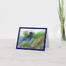 Search for bluejay cards Bird