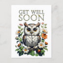 Search for get well soon owl Cute