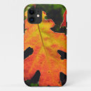 Search for oak cases Country
