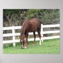 Recherche de chevaux posters Selle