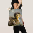Search for water bird accessories Duckling