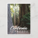 Recherche de séquoias cartes postales San francisco