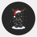 Search for flashing light stickers Dog