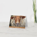 Search for sheep puns cards Animals