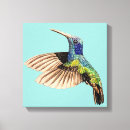 Search for hummingbird painting canvas prints Nectar