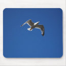 Search for bird flight mousepads Photography