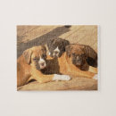 Search for boxer puzzles Puppy