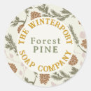 Search for pine cones Evergreen