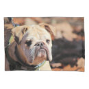 Search for bulldog pillowcases Canine