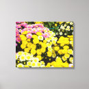 Search for yellow chrysanthemums art Flowers
