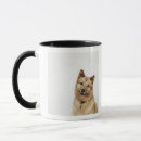 Search for spitz mugs Dogs