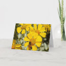 Search for pollinators cards Wildflower