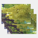 Recherche de feuille de raisin Vigne