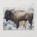 Recherche de nursing cartes postales Bébé