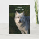 Search for timber wolf Animal
