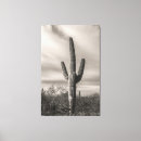 Search for bw art Landscape
