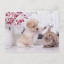 Recherche de oreilles de lapin cartes postales Amitié