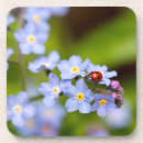 Search for forget me not flowers coasters Nature