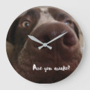 Search for gsp art Puppy