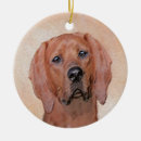 Search for coonhound ornaments Pet