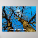 Recherche de arbre tordu posters Nature