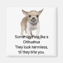 Search for chihuahua quotes Humour