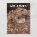 Search for fly vertical postcards Photograph